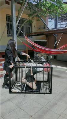 媚娘工作室户外囚禁狗笼 JS250406-5
